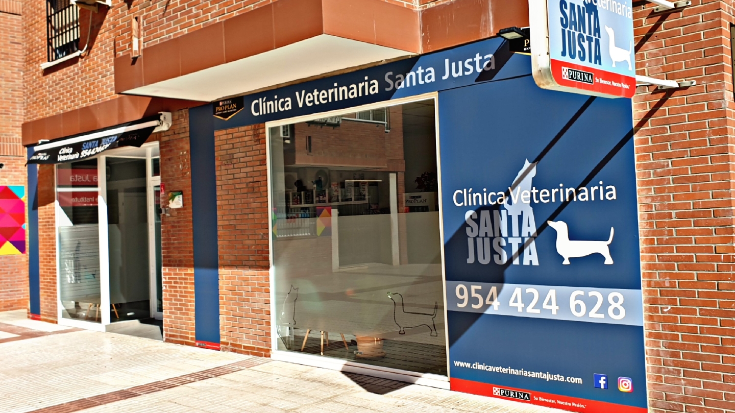 Clínica veterinaria Clínica Veterinaria Santa Justa