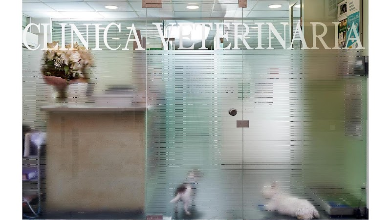 Clínica veterinaria Clínica Veterinaria Poblenou