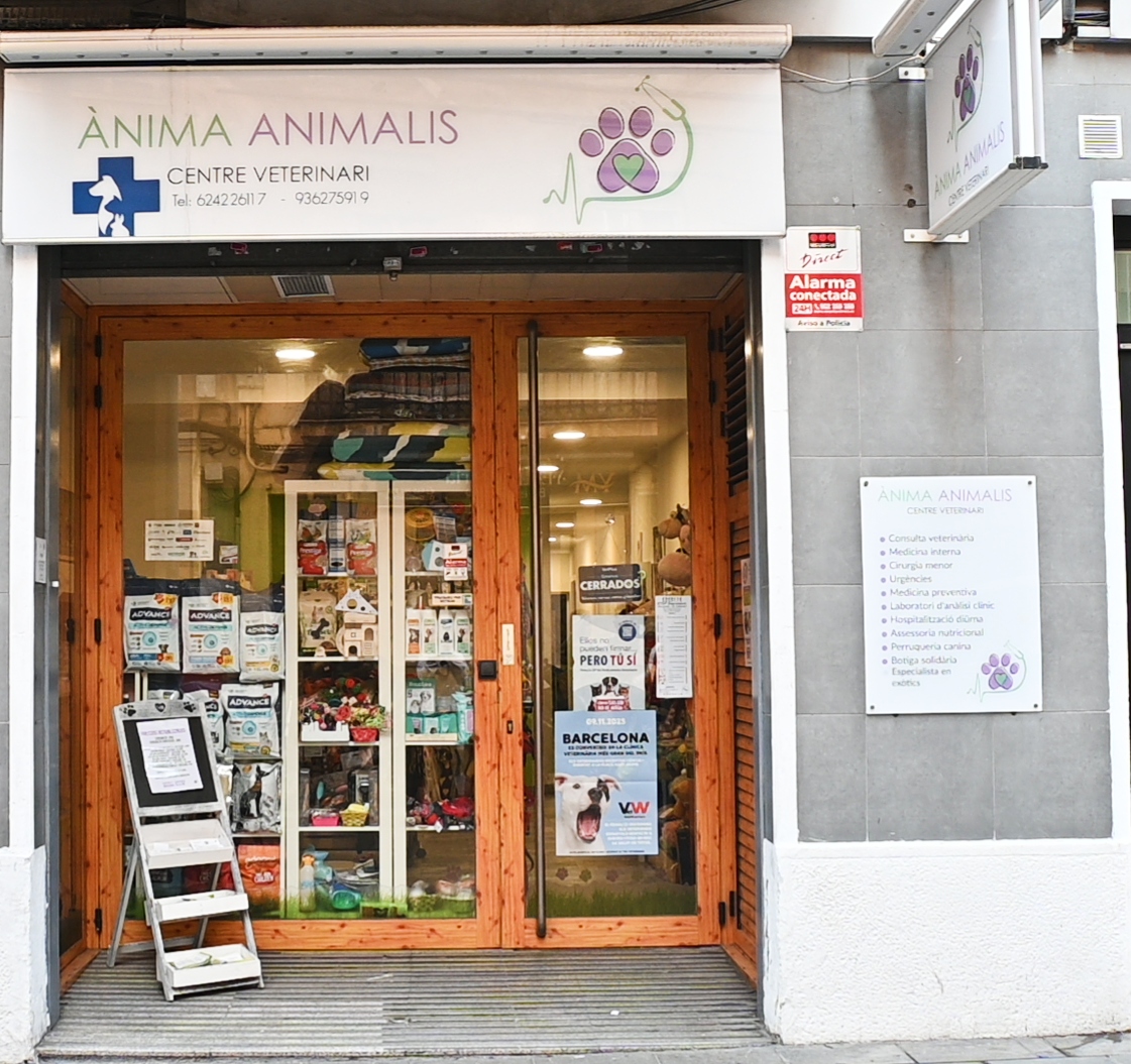 Clínica veterinaria Ànima Animalis centre veterinari