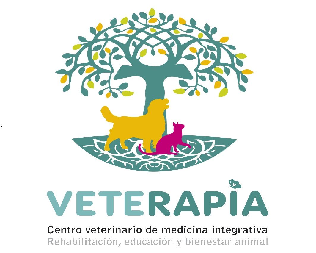 Clínica veterinaria CENTRO VETERAPIA