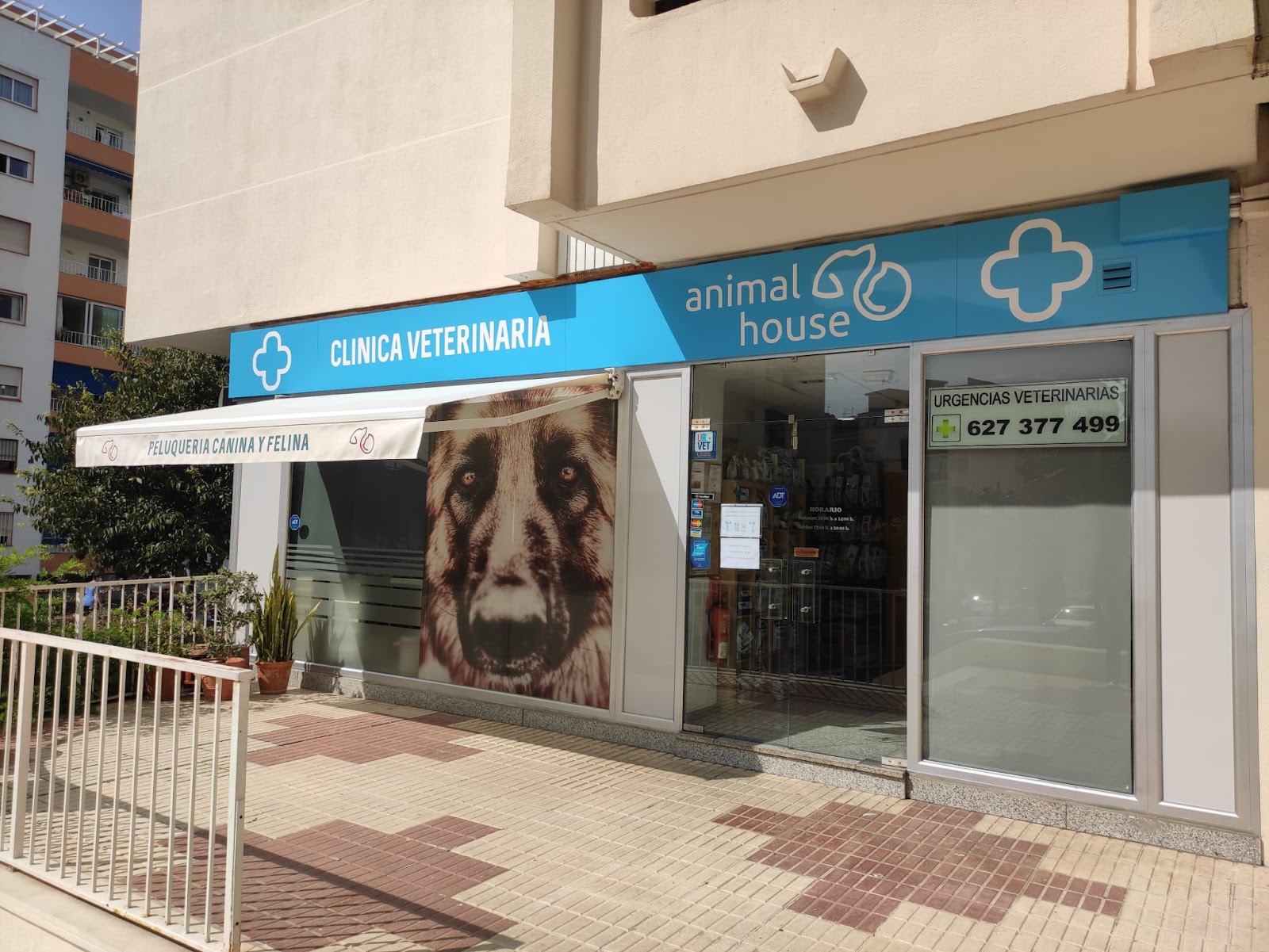 Clínica veterinaria Clinica Veterinaria Animal House