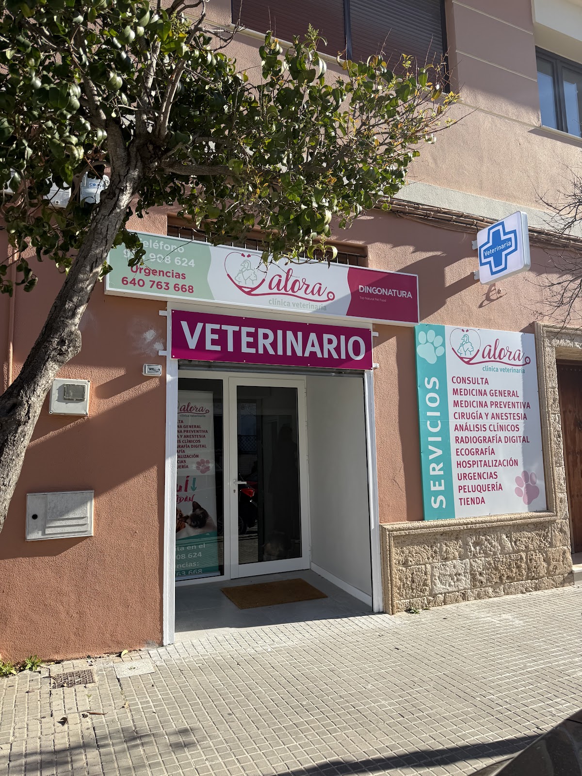 Clínica veterinaria Clínica Veterinaria Alora | Chiclana