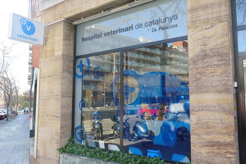 Clínica veterinaria HVC Sarrià