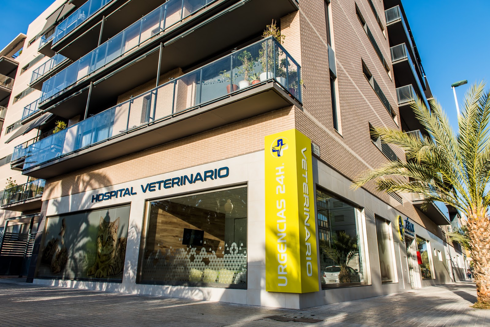 Clínica veterinaria Fénix Hospital Veterinario 24H - Alicante