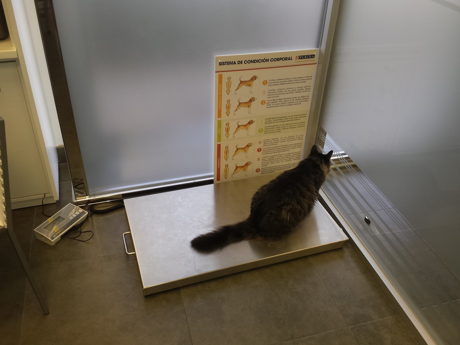 Clínica veterinaria Centre Veterinari Almassora