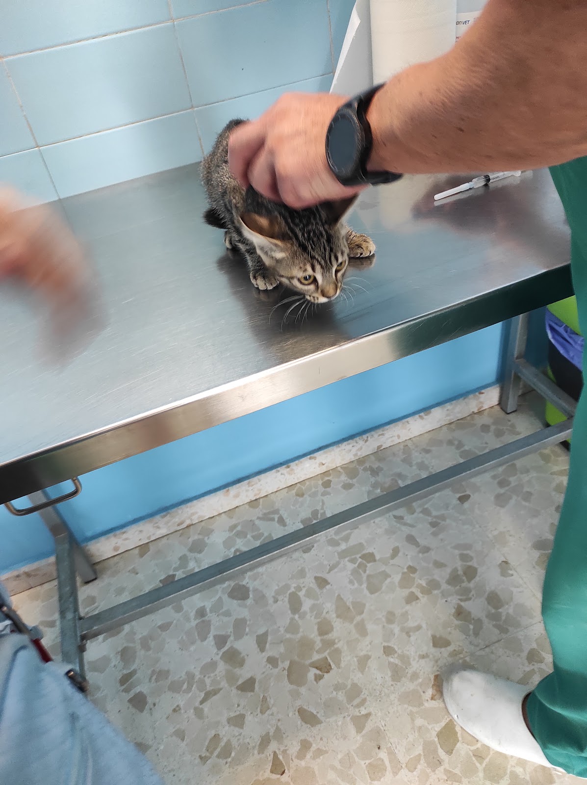 Clínica veterinaria Clínica Veterinaria Jesús Toledo - Complejo Torcan