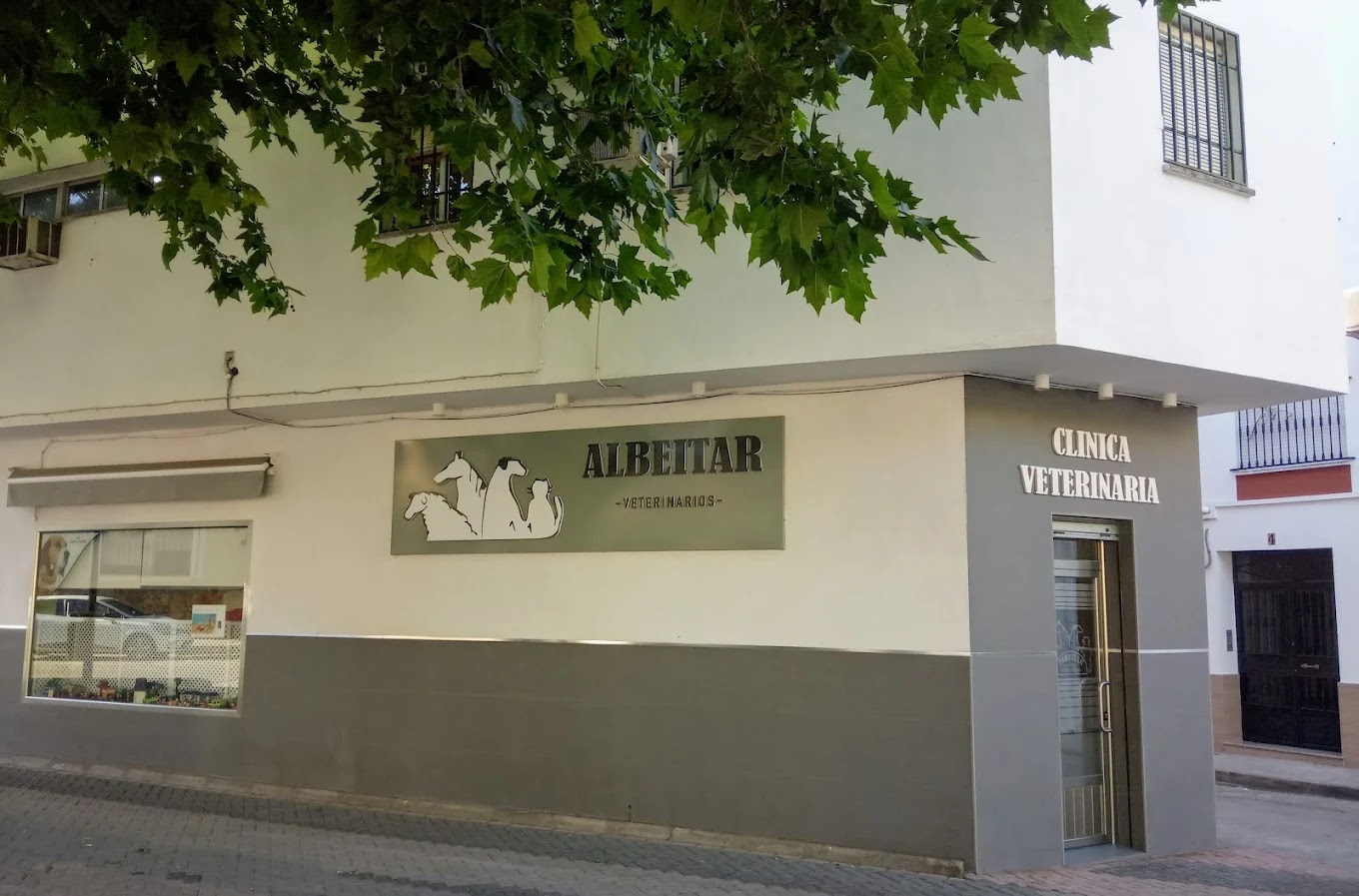 Clínica veterinaria Clínica Veterinaria Albéitar