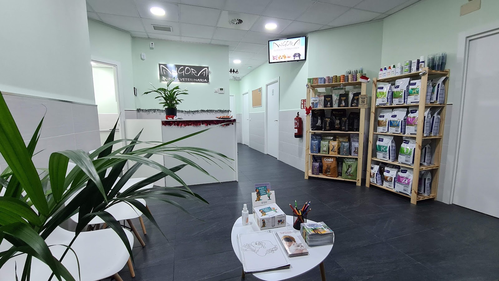 Clínica veterinaria Clinica Veterinaria Angora