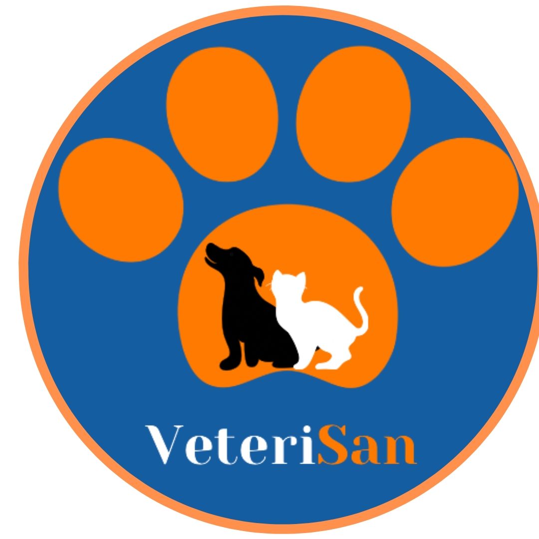 Clínica veterinaria Clinica veterinaria Veterisan