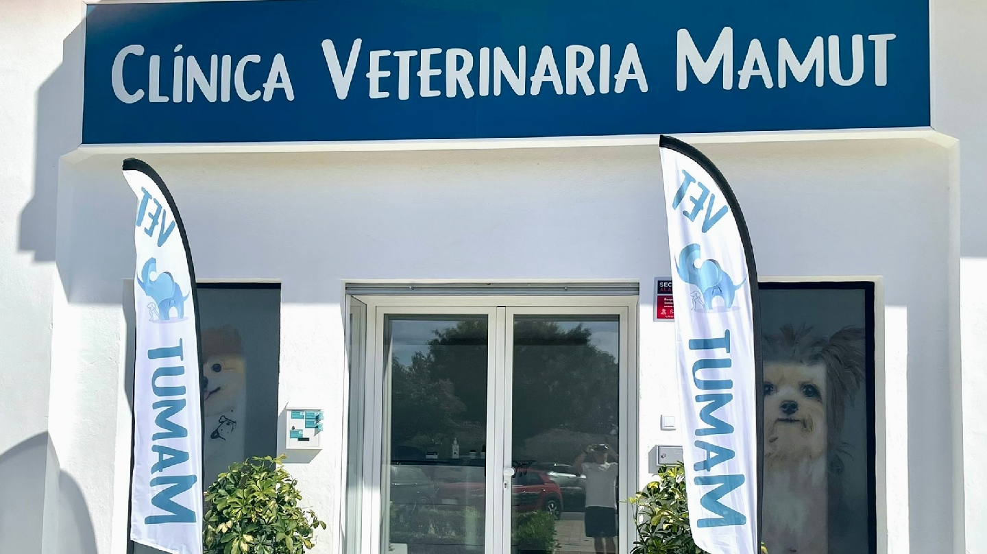 Clínica veterinaria Clínica Veterinaria Mamut