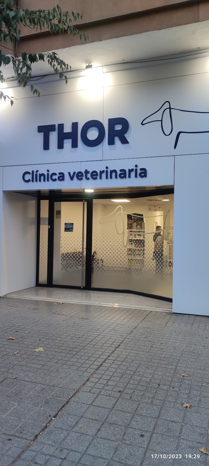 Clínica veterinaria Clínica Veterinaria THOR