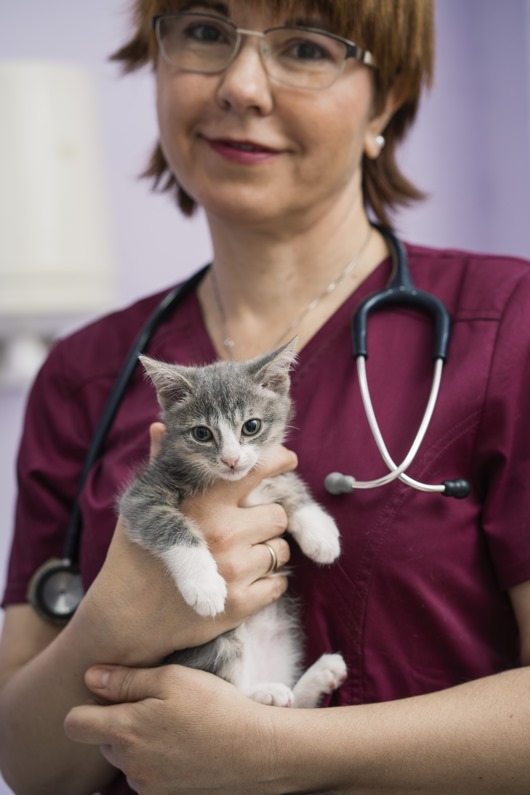 Clínica veterinaria Centro Veterinario Zaragoza