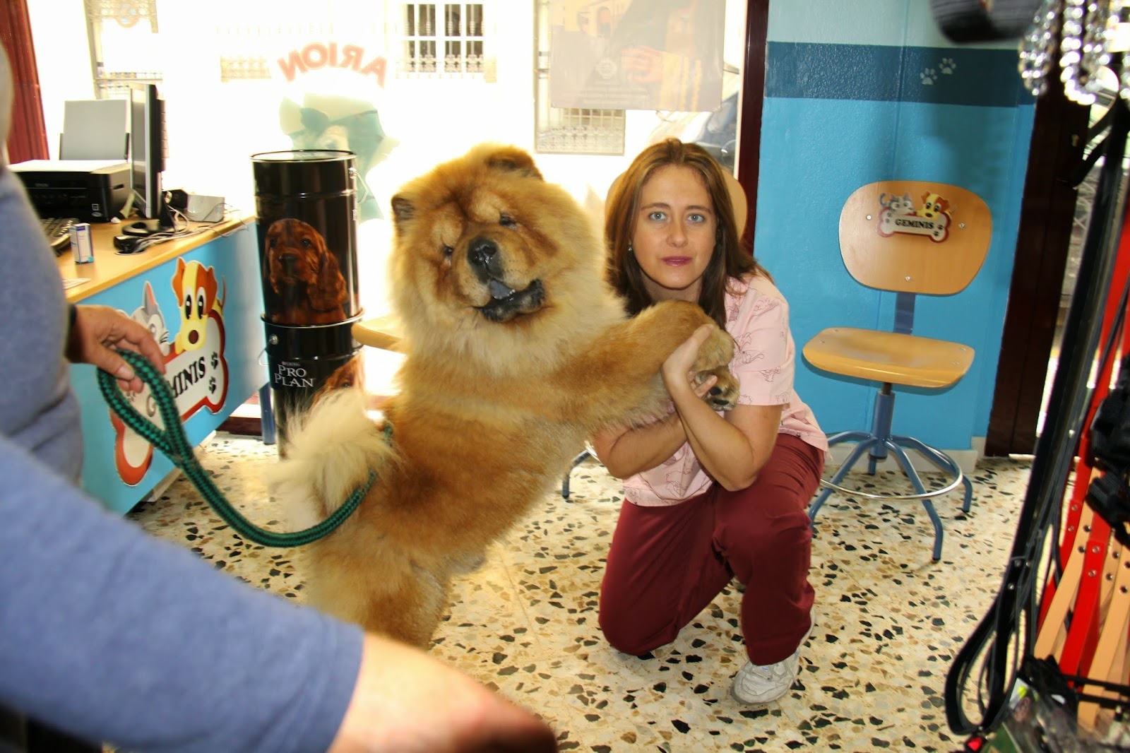 Clínica veterinaria Clínica Veterinaria Géminis