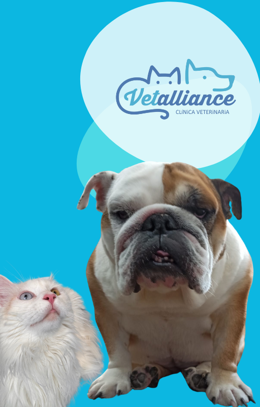 Clínica veterinaria Vetalliance Clínica Veterinaria