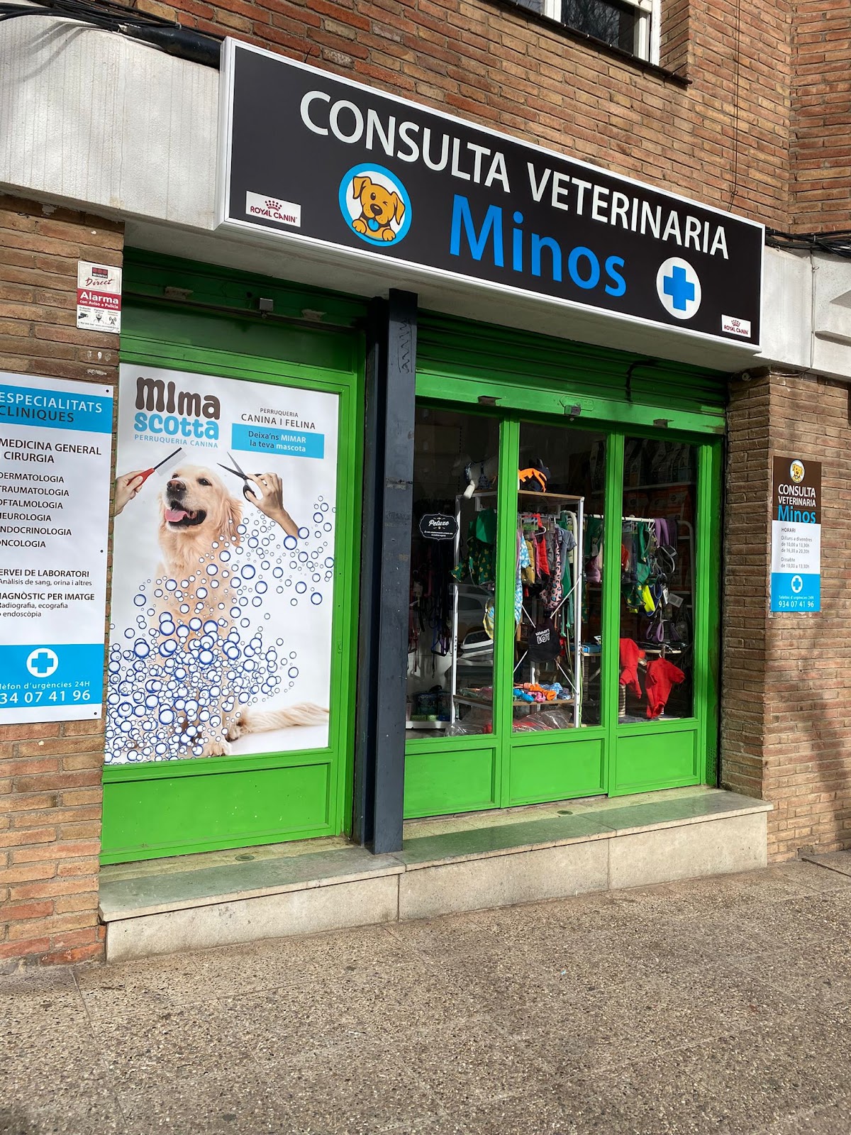 Clínica veterinaria Peluts Sabadell-Consulta Veterinaria Minos