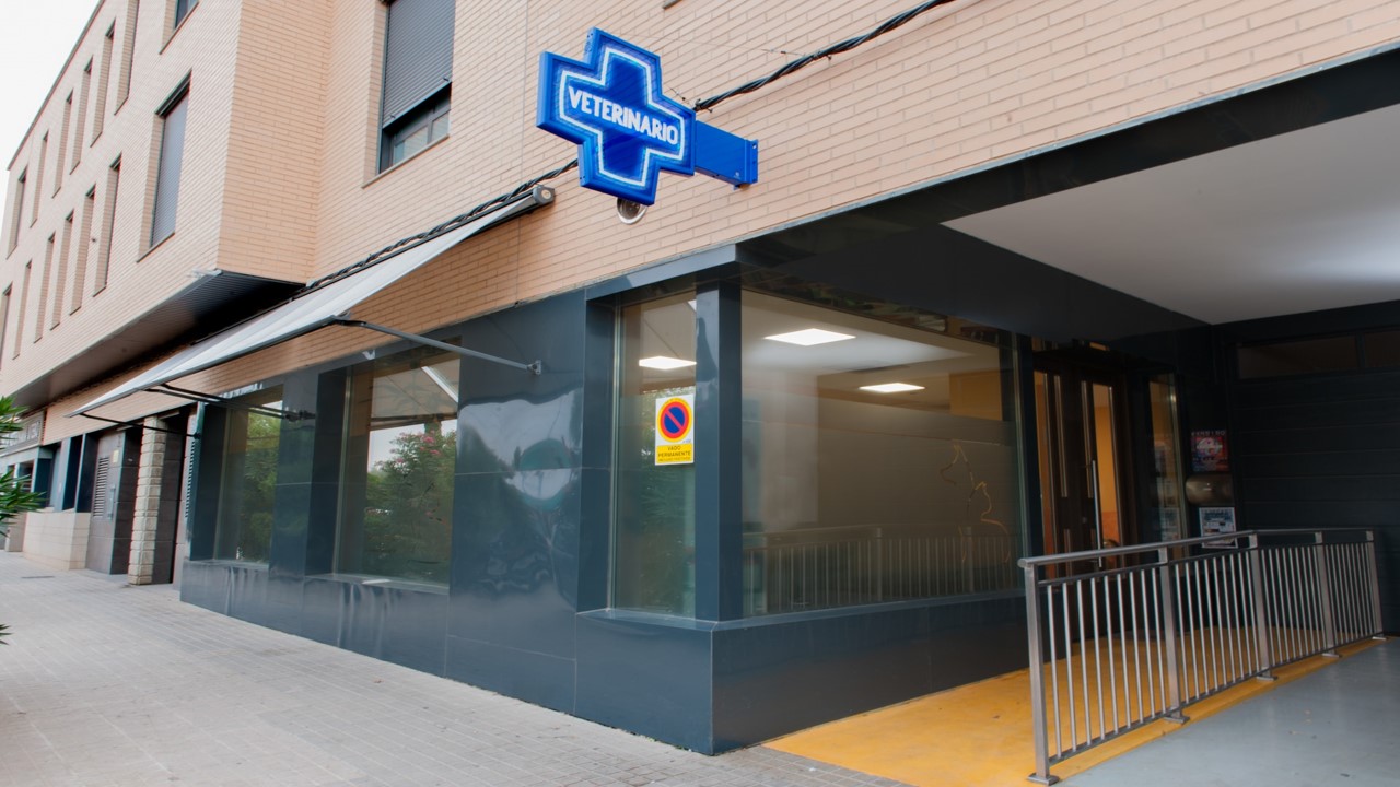 Clínica veterinaria Clínica Veterinaria Utebo