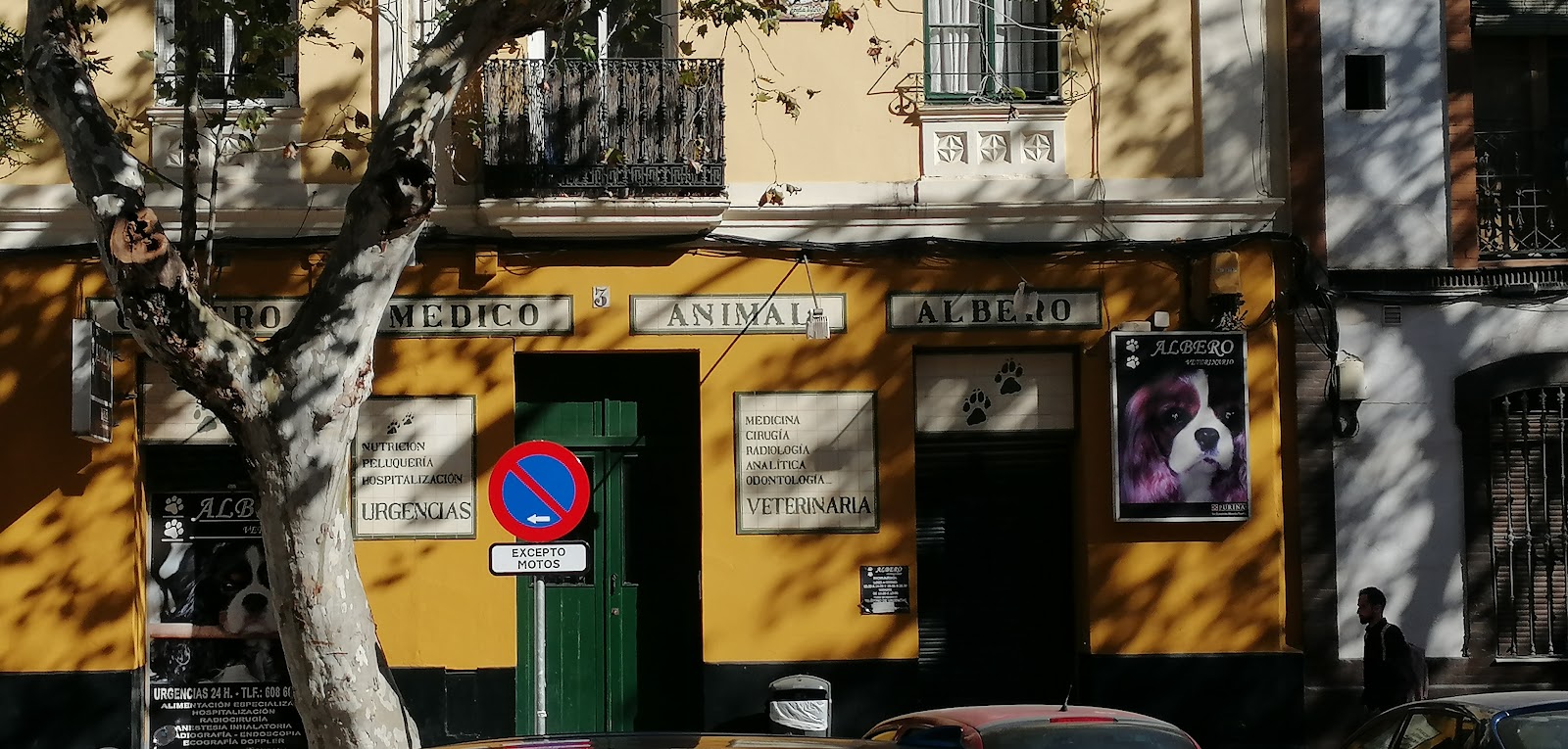 Clínica veterinaria Alberó Hospital Veterinario