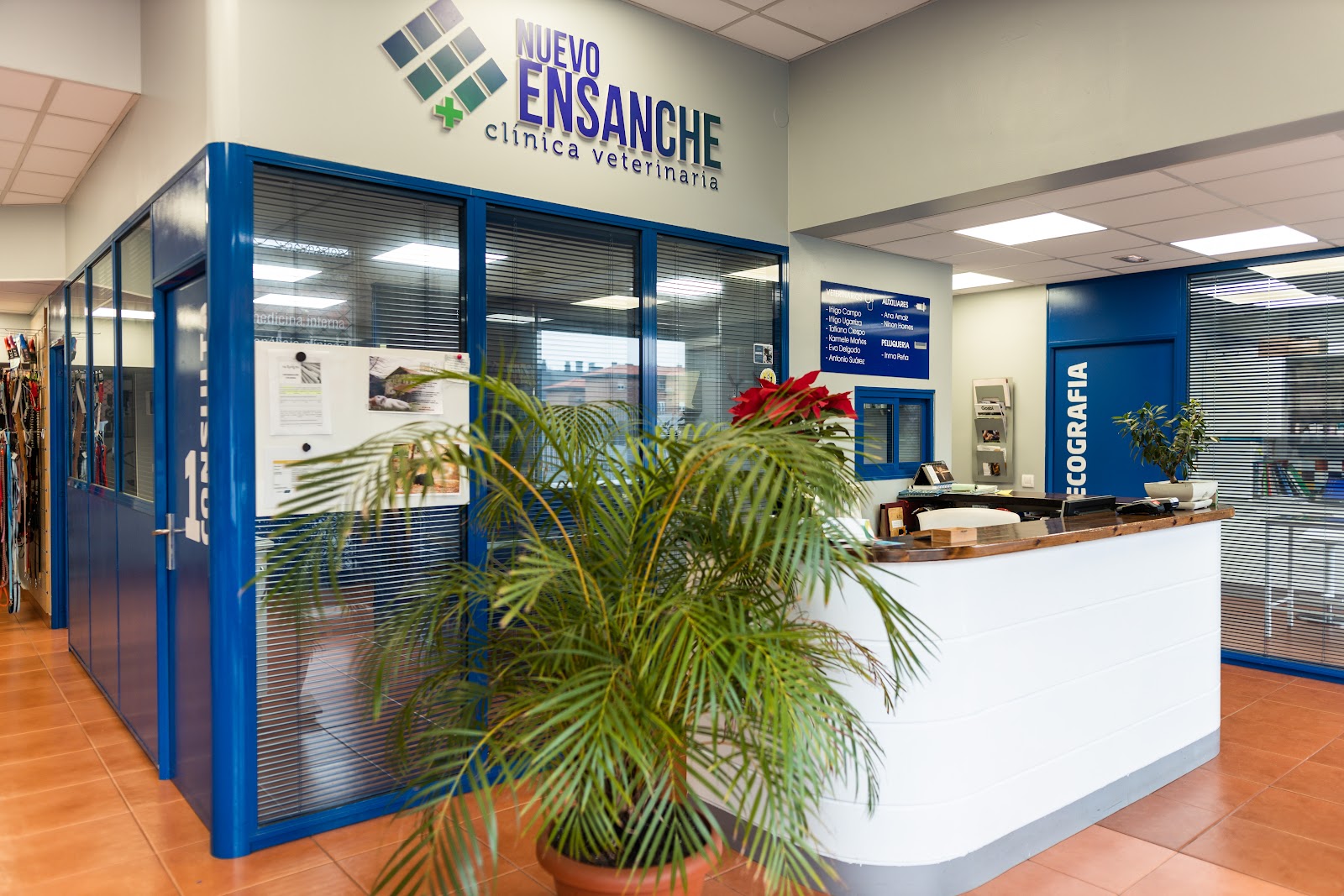 Clínica veterinaria Clínica Veterinaria Nuevo Ensanche