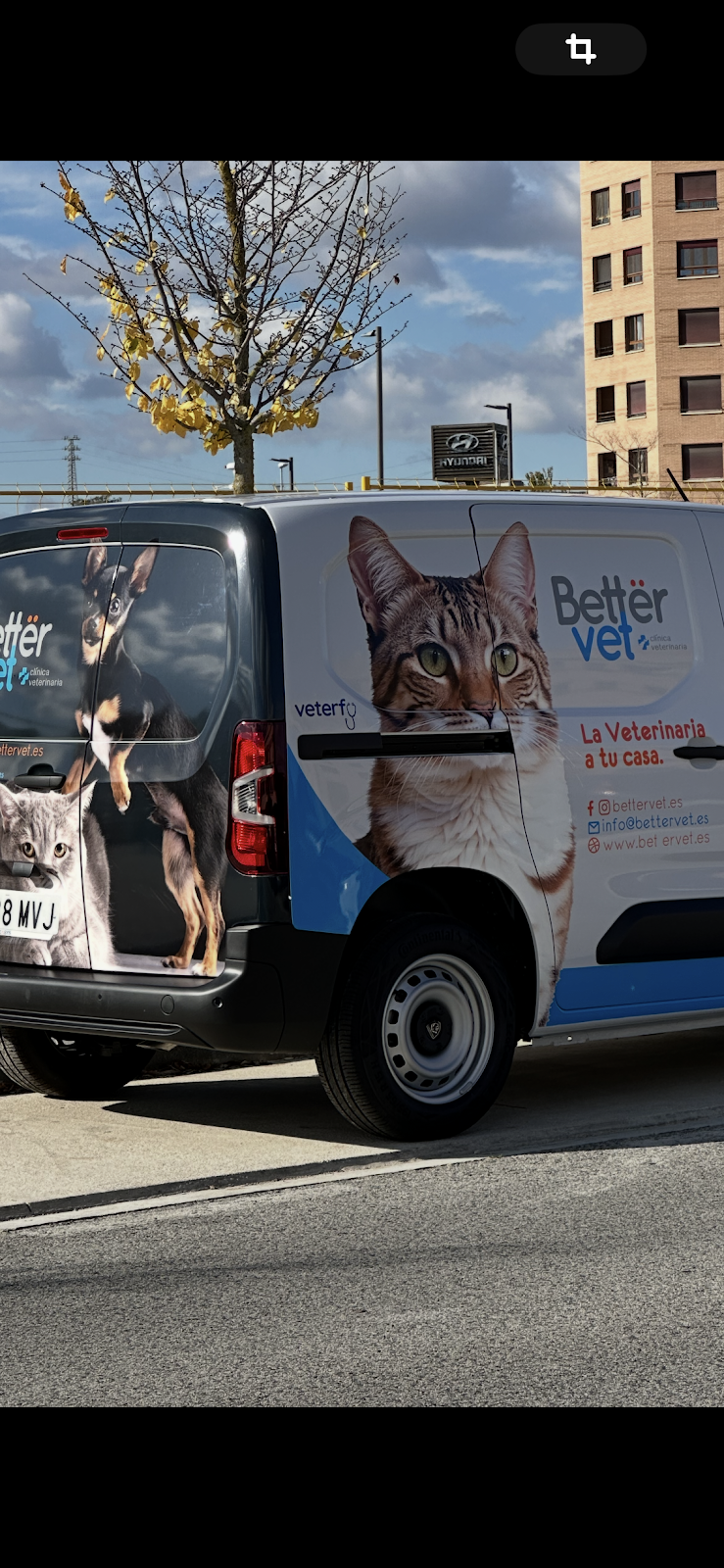 Clínica veterinaria Clínica veterinaria Bettervet del Sadar