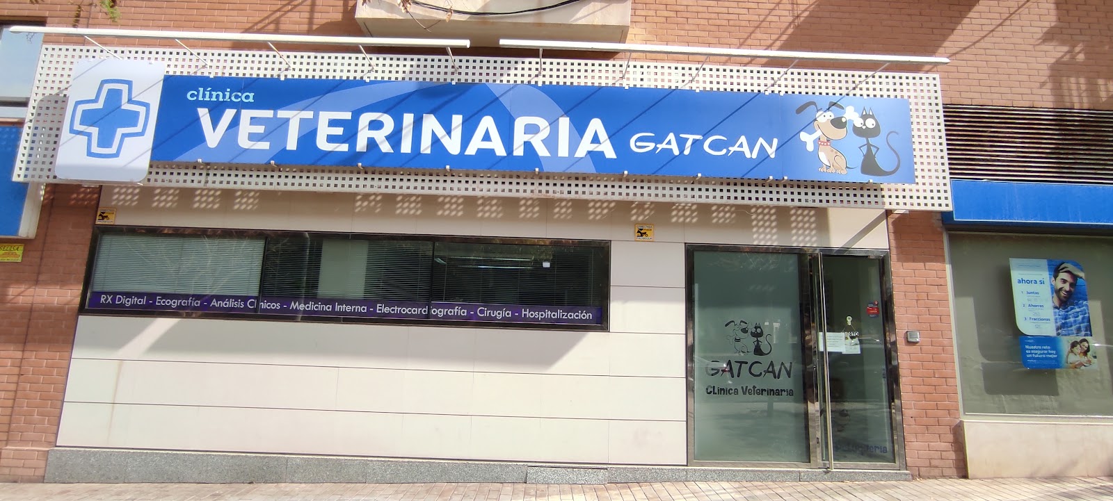 Clínica veterinaria Gatcan, Clínica veterinaria Alicante