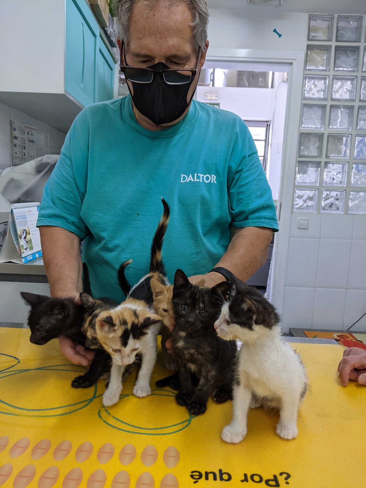 Clínica veterinaria Clinica Veterinaria 4 Vents