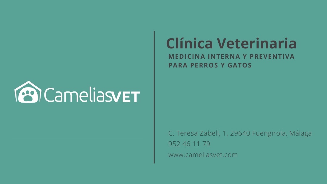 Clínica veterinaria Clínica Veterinaria Las Camelias