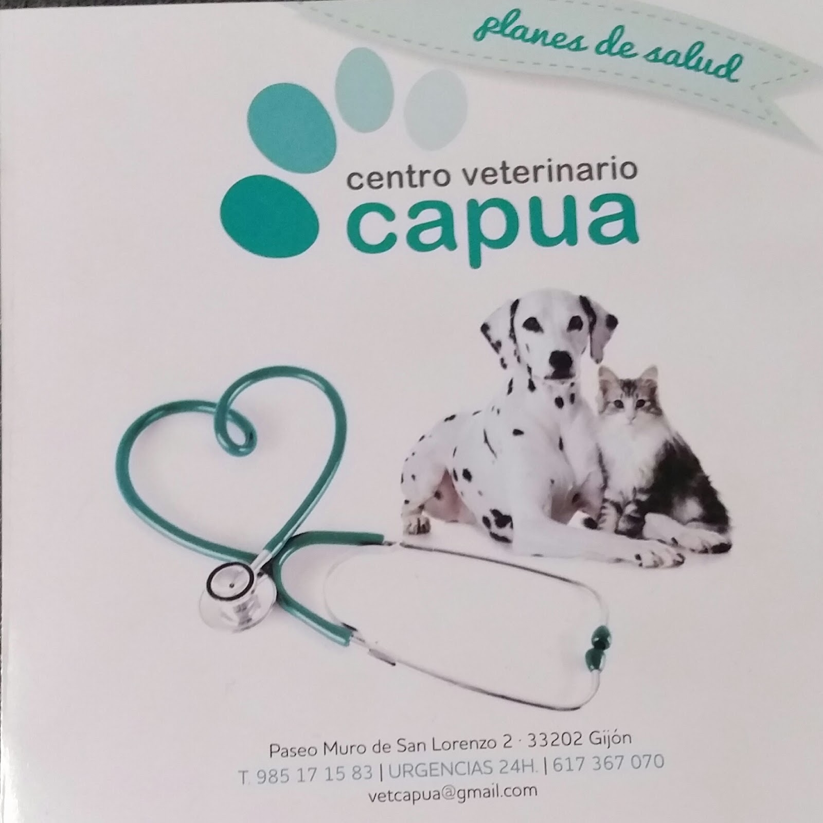 Clínica veterinaria Centro Veterinario Capua SL