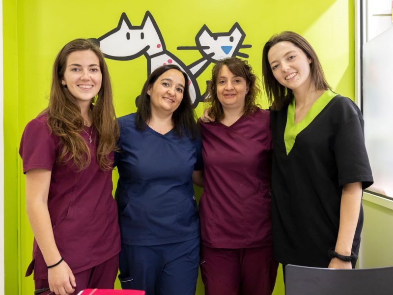 Clínica veterinaria Centre Veterinari Sant Roc