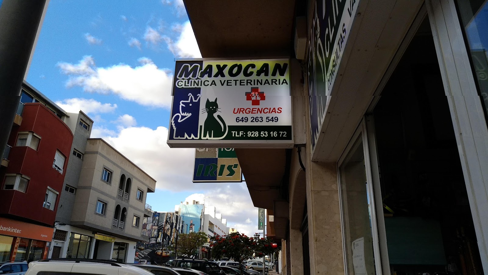 Clínica veterinaria Clinica Veterinaria Maxocan