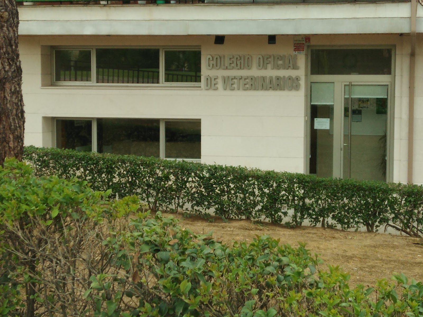 Clínica veterinaria COLVETO - Colegio Oficial de Veterinarios de Toledo