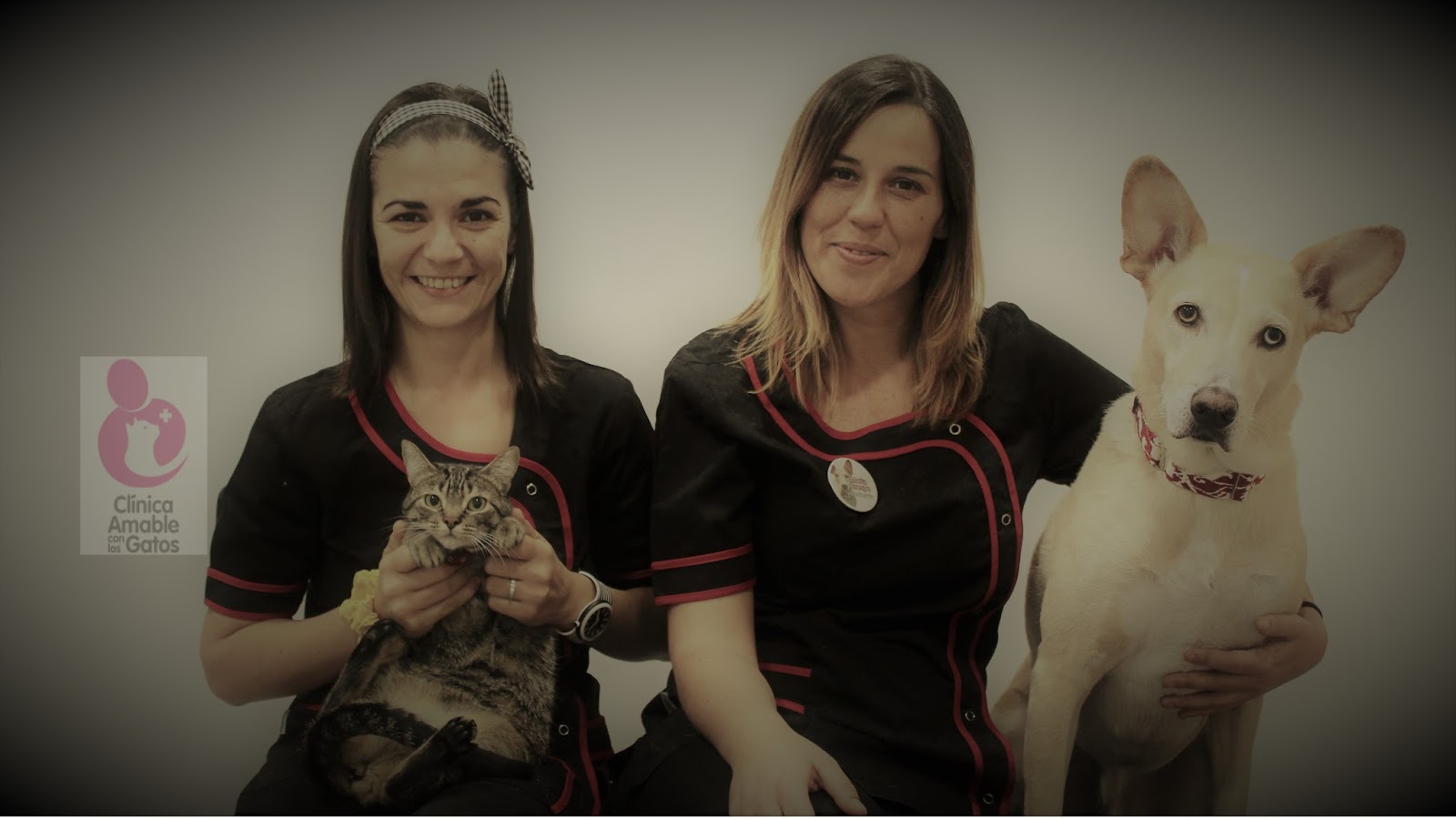 Clínica veterinaria Clínica Veterinaria Bichos