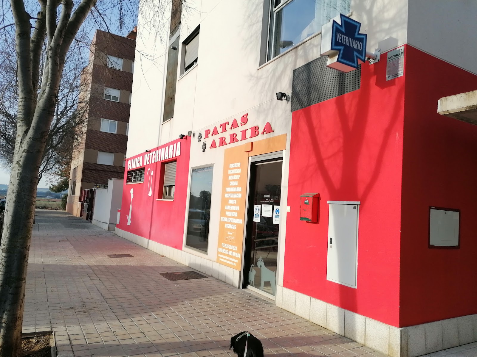 Clínica veterinaria CLINICA VETERINARIA INTEGRATIVA PATAS ARRIBA