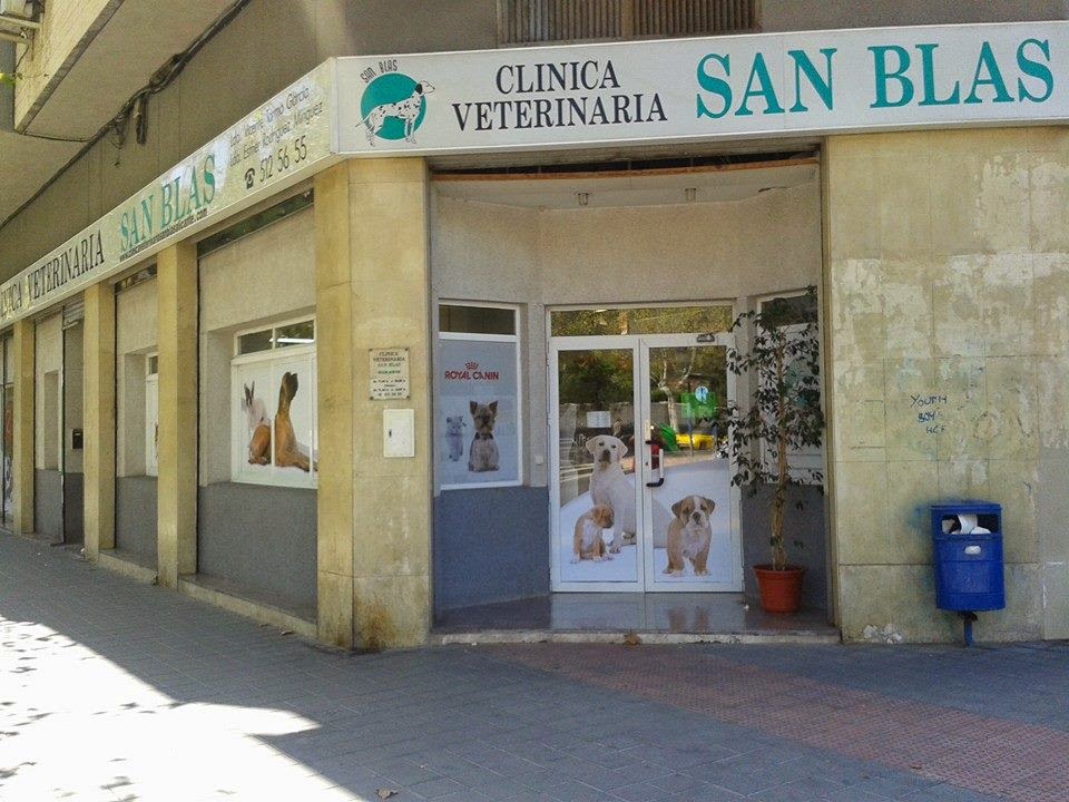 Clínica veterinaria Clínica Veterinaria San Blas