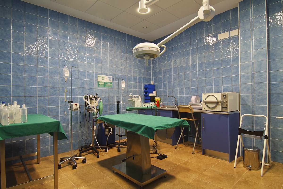 Clínica veterinaria CEVAN (Centro Veterinario Andújar S.L.)