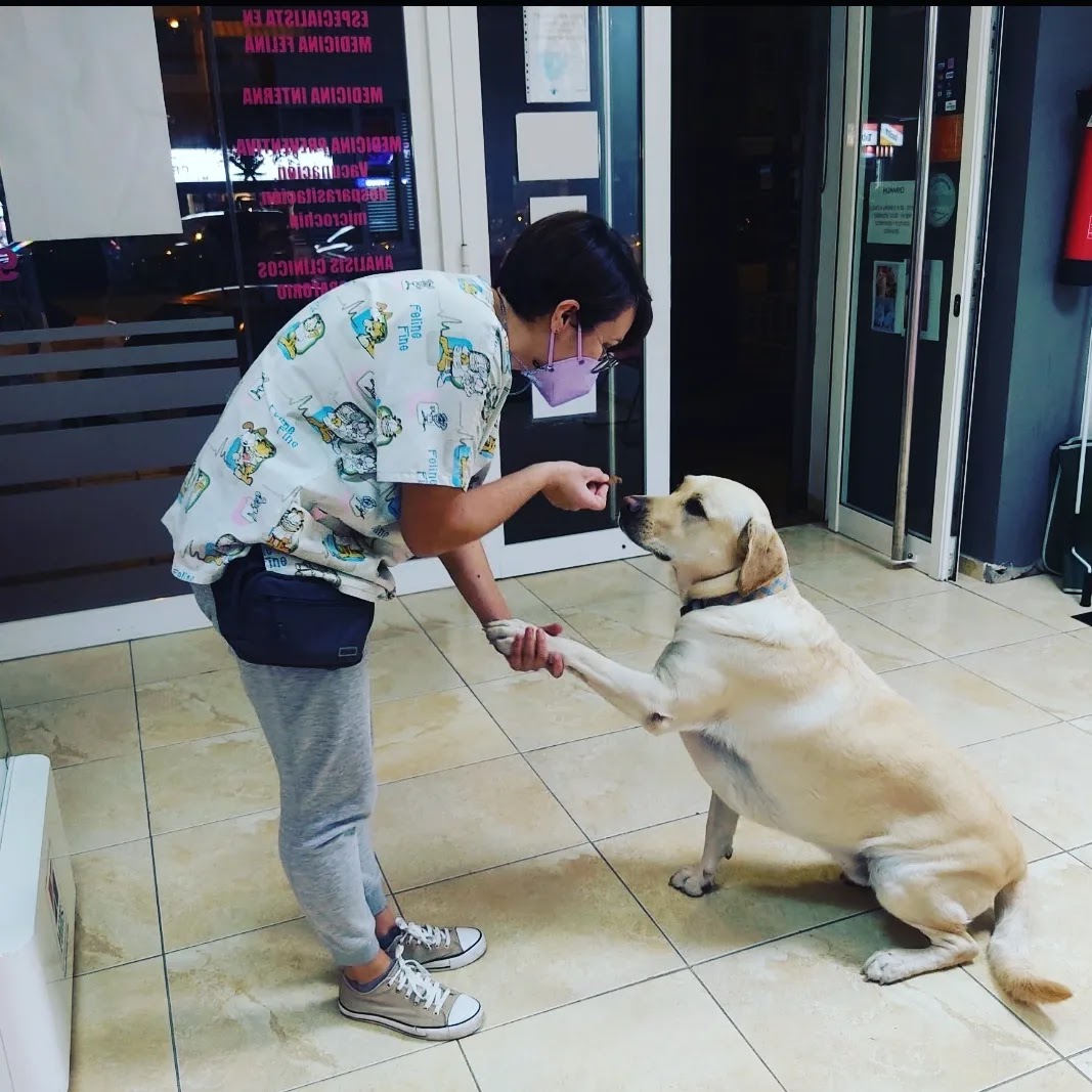 Clínica veterinaria Veter Sana veterinarios