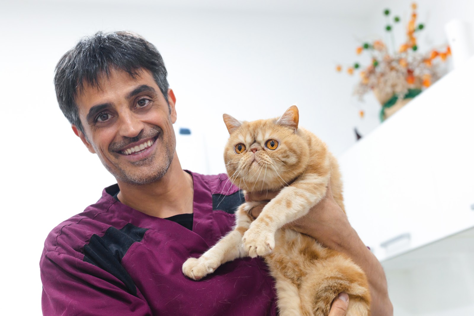Clínica veterinaria Clínica Veterinària Montau