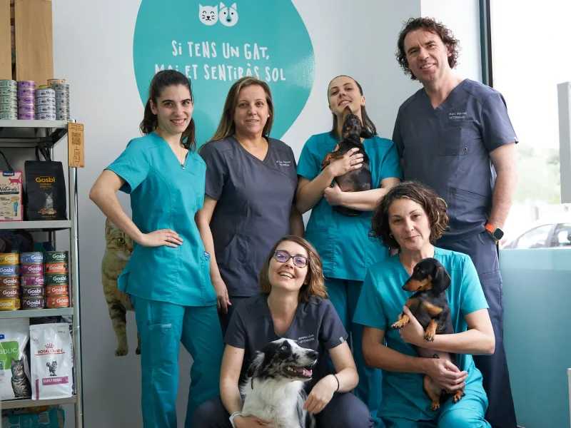 Clínica veterinaria Dos Vet
