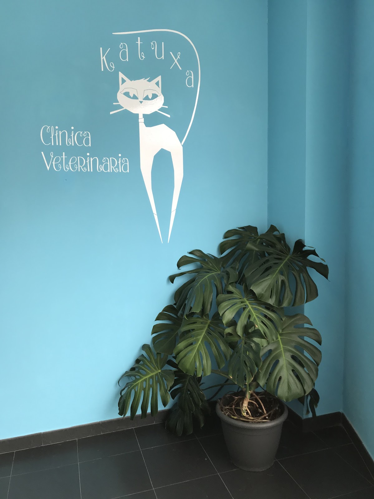 Clínica veterinaria Clínica Veterinaria Katuxa