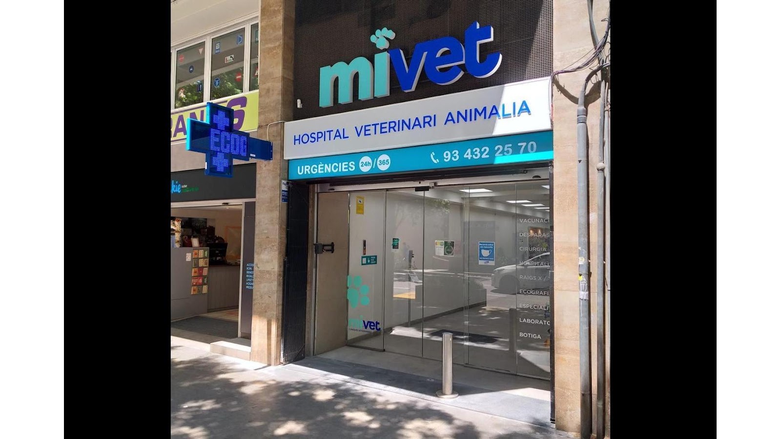 Clínica veterinaria Hospital Veterinario MiVet Animalia
