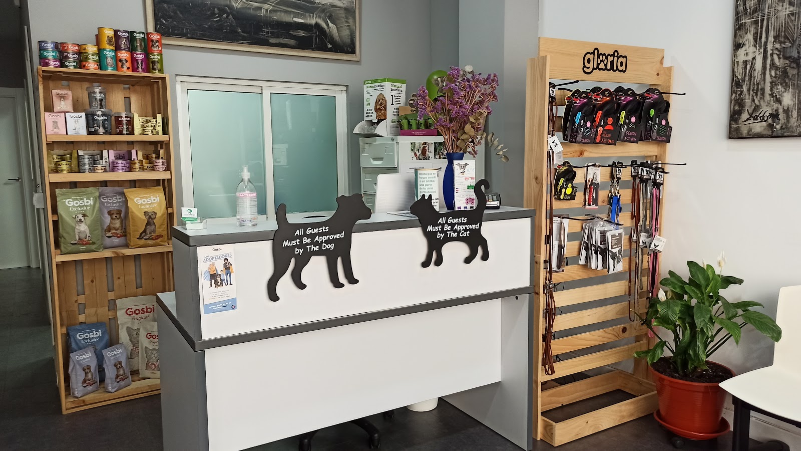 Clínica veterinaria Veterimóvil, Veterinario de Salamanca