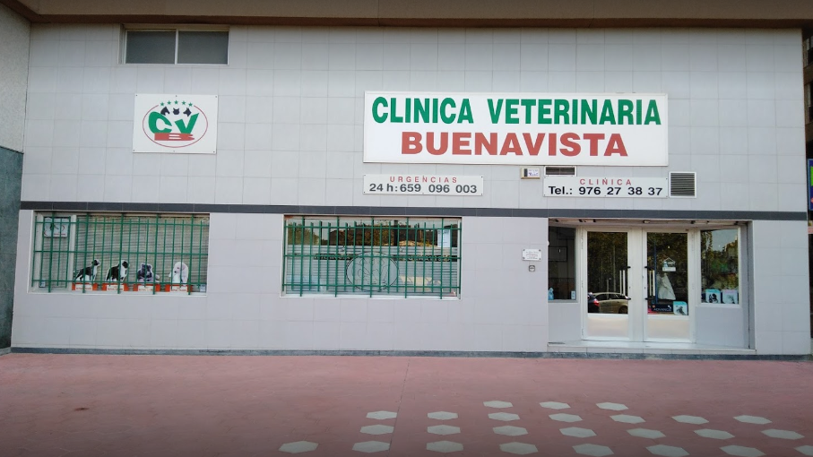 Clínica veterinaria Clinica Veterinaria Buenavista