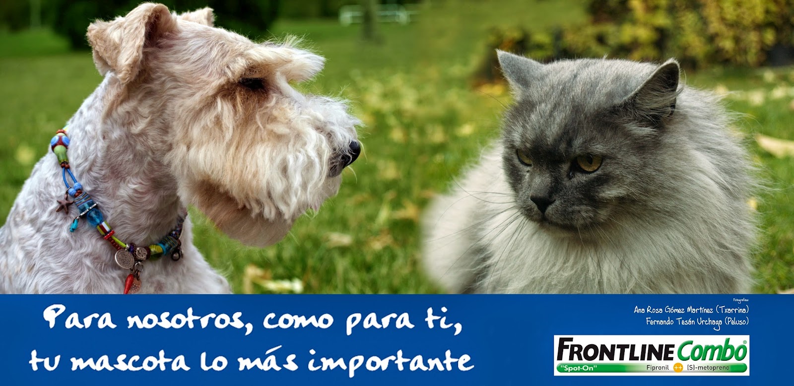 Clínica veterinaria Centro Veterinario Abodi