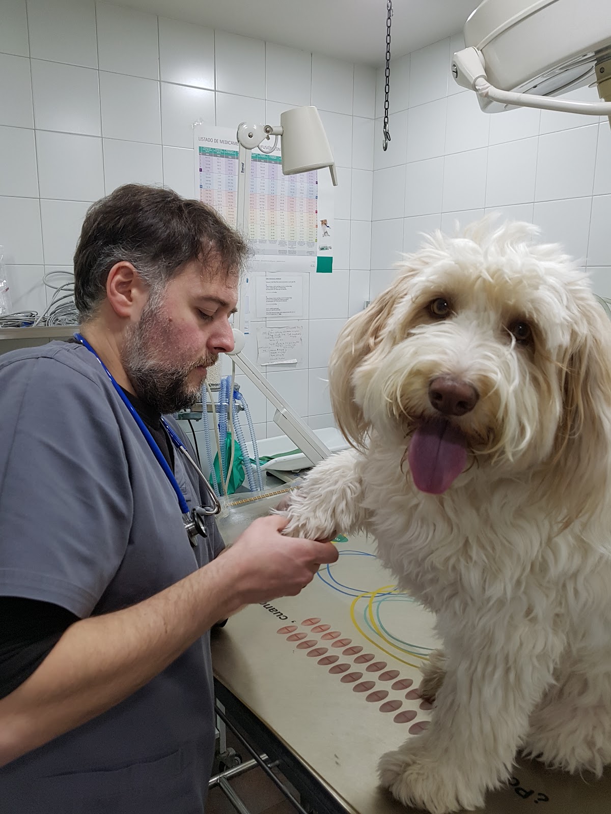 Clínica veterinaria CENTRO VETERINARIO PRADO DE BOADILLA