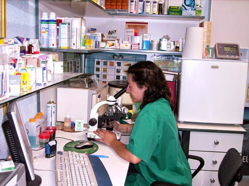 Clínica veterinaria Centrofauna Veterinaria