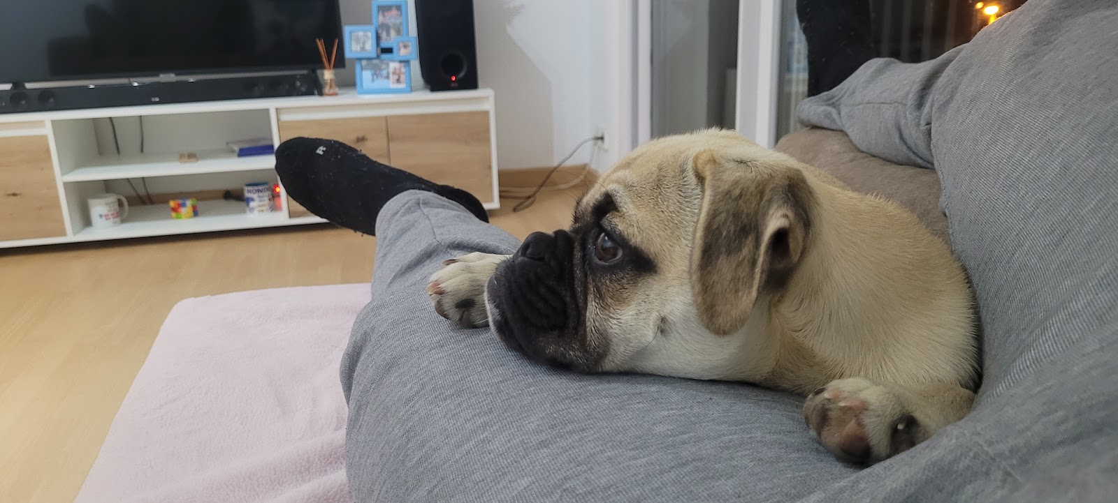 Clínica veterinaria Clínica Veterinària Banyoles SLP