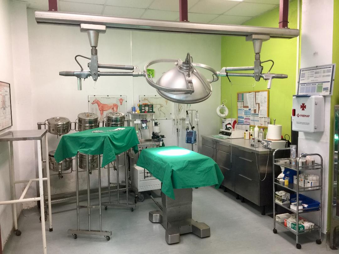 Clínica veterinaria Veterinary Clinic and Reproductive Center Arena CLONE