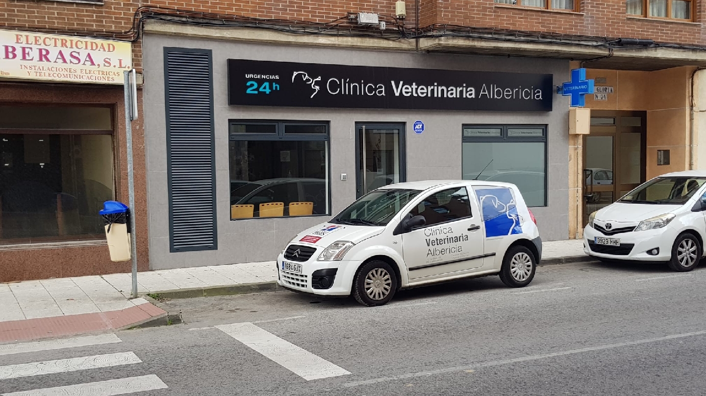 Clínica veterinaria Clínica Veterinaria Albericia