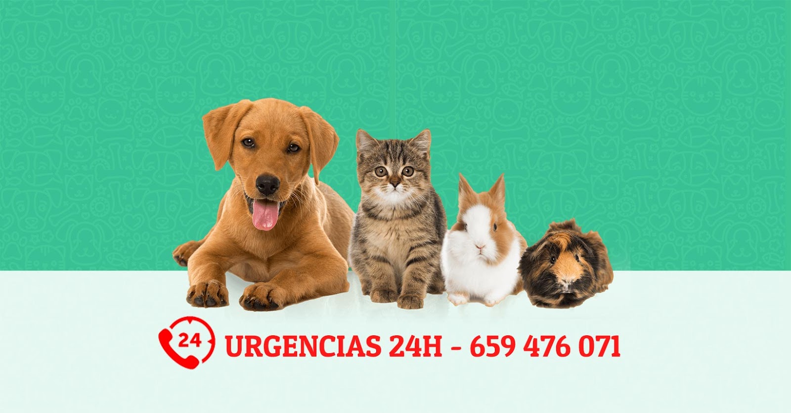 Clínica veterinaria Clínica Veterinaria la Roldana