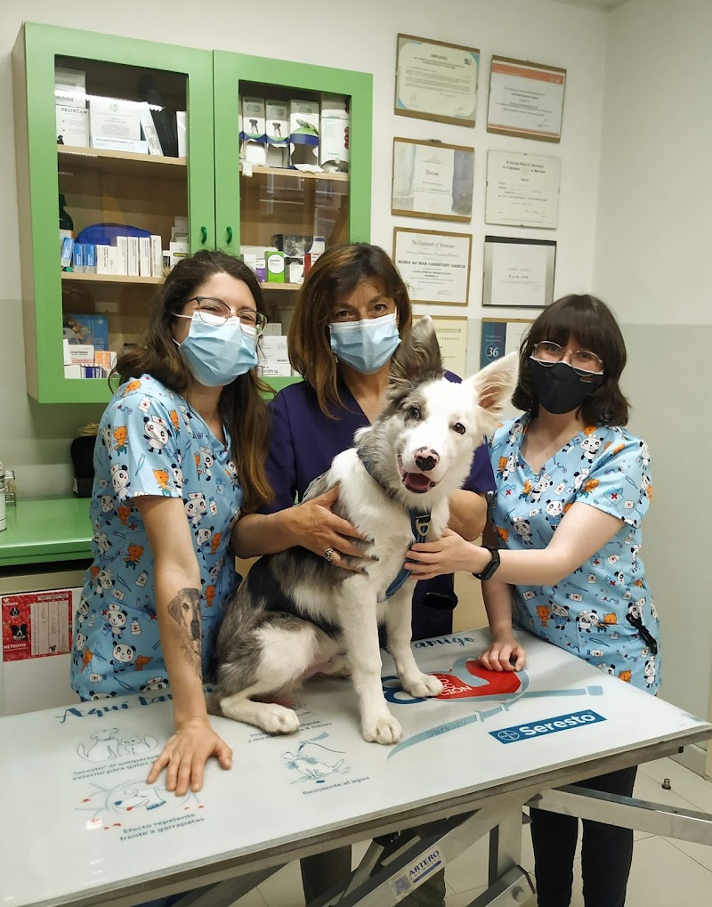 Clínica veterinaria Clot Veterinària