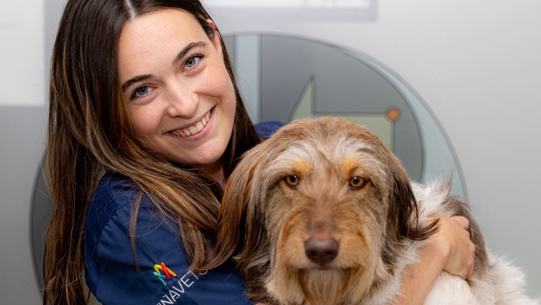 Clínica veterinaria Clínica Veterinaria Ruzafa